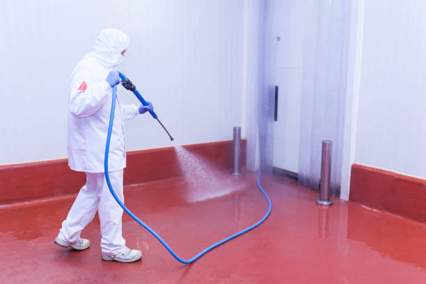 Pre-Holiday Cleaning in Rohnert Park, CA